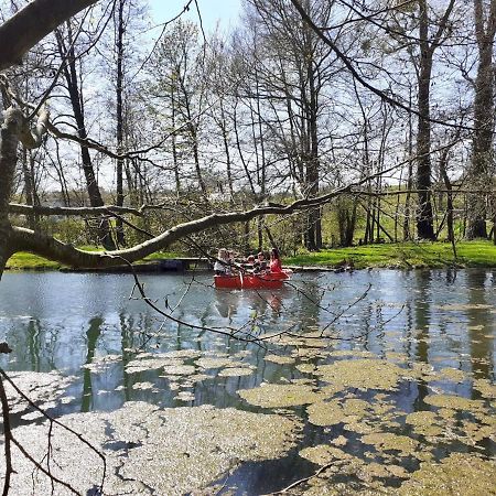 Hamois Le Moulin Des Aulnes 빌라 외부 사진